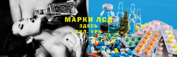 индика Горно-Алтайск