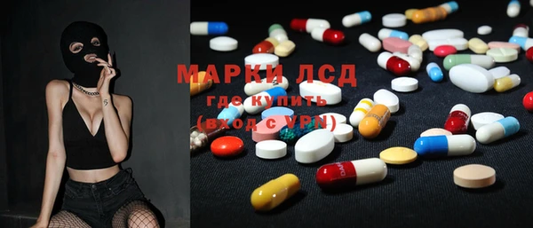 ECSTASY Горняк