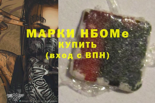индика Горно-Алтайск