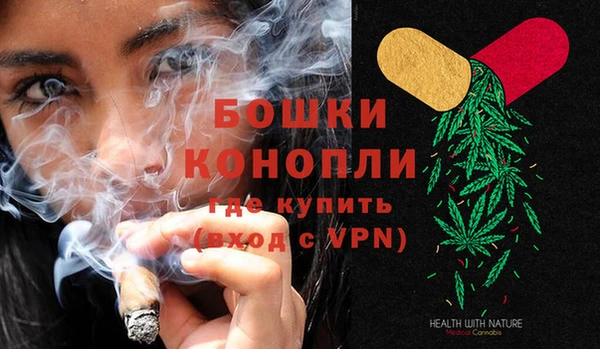 ECSTASY Горняк