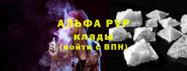 индика Горно-Алтайск