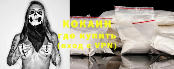 ECSTASY Горняк