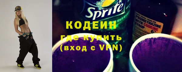 индика Горно-Алтайск