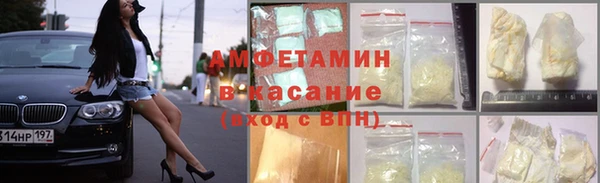 индика Горно-Алтайск