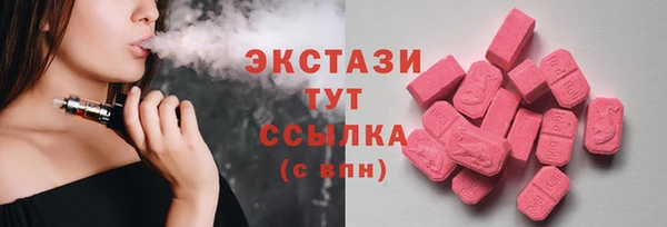 индика Горно-Алтайск