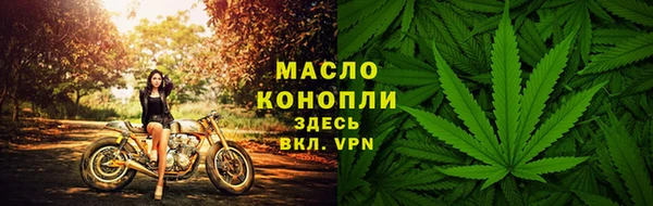ECSTASY Горняк