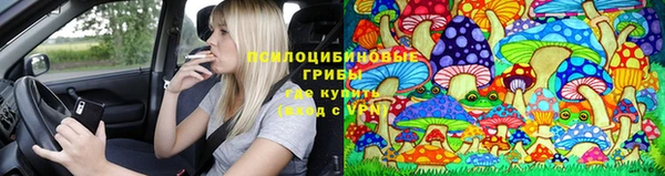 индика Горно-Алтайск