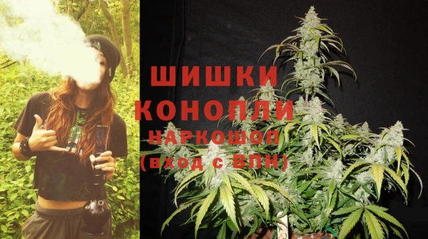 индика Горно-Алтайск