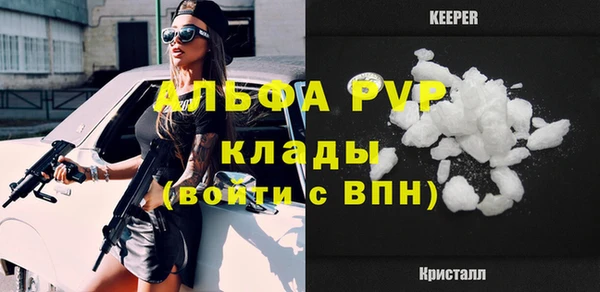 индика Горно-Алтайск