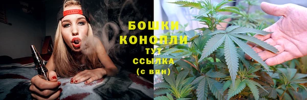 ECSTASY Горняк