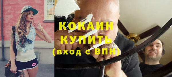 индика Горно-Алтайск