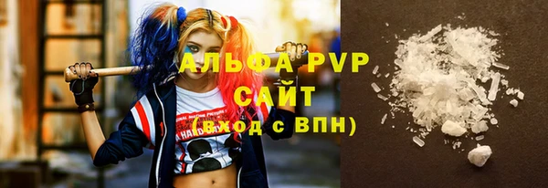 ECSTASY Горняк