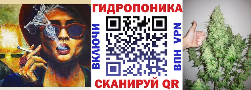 Купить где  Петропавловск-Камчатский  Бошки Шишки ГИДРОПОН 